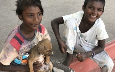 Kampfgeist in Indien – Wieso Wohlstand und Armut manchmal sehr nah beieinander liegen